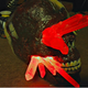 Illustration for article titled Glowing Red lyrium Skull (TW: Gore)